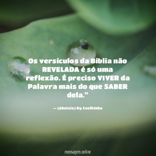 "Os versículos da Bíblia não REVELADA é só uma reflexão. É preciso VIVER da Palavra mais do que SABER dela."