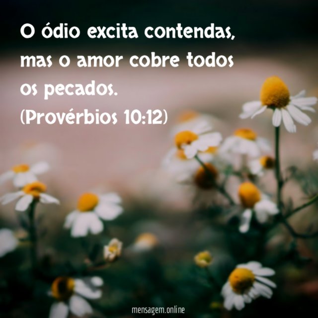 O ódio excita contendas