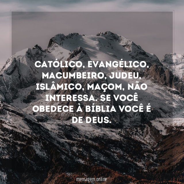 Católico