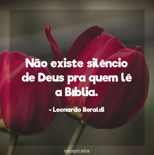 Não existe silêncio de Deus pra quem lê