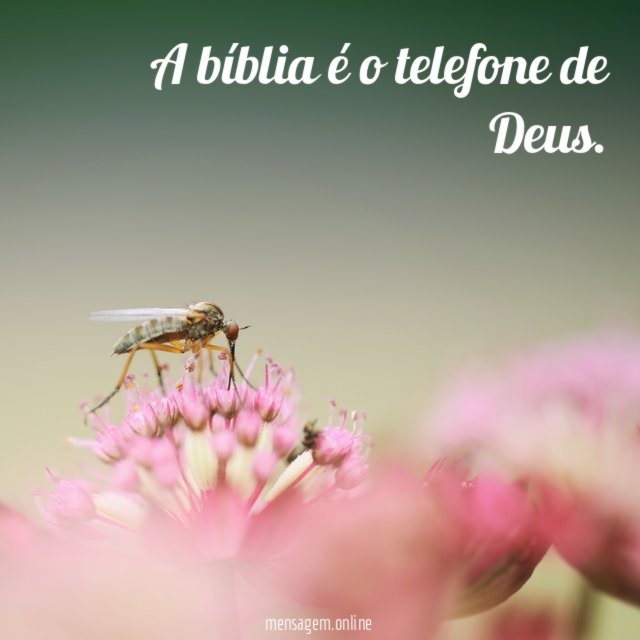 A bíblia é o telefone de Deus