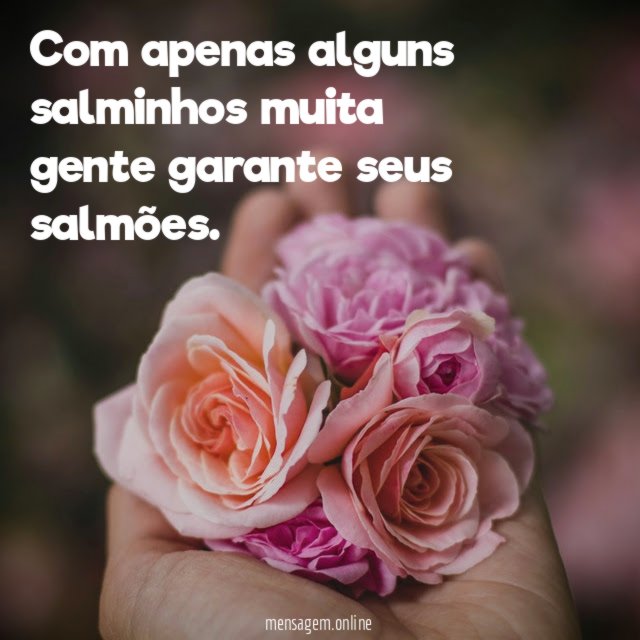 Com apenas alguns salminhos muita gente garante seus salmões