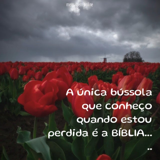 A única bússola que conheço quando estou perdida é a BÍBLIA…