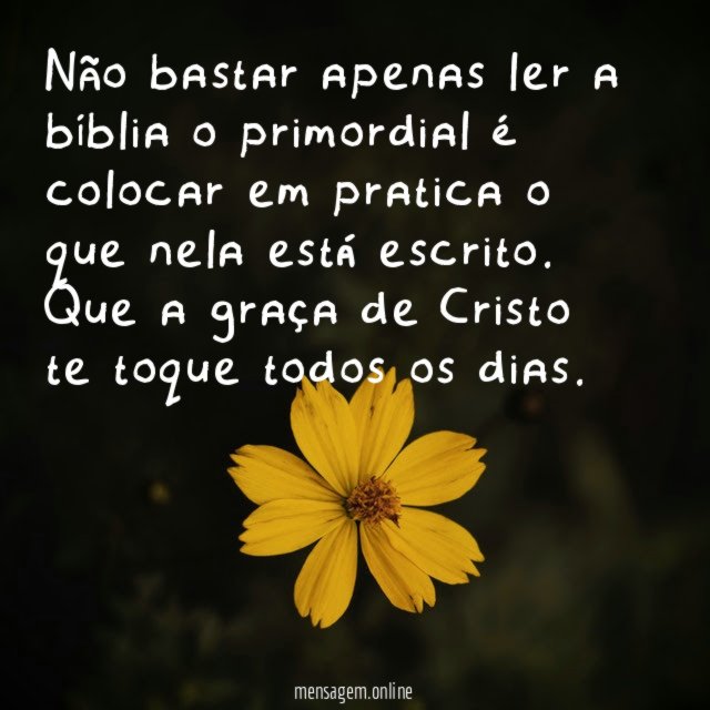 Não bastar apenas ler a bíblia o primordial