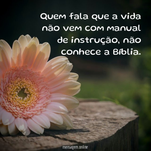 Quem fala que a vida não vem com