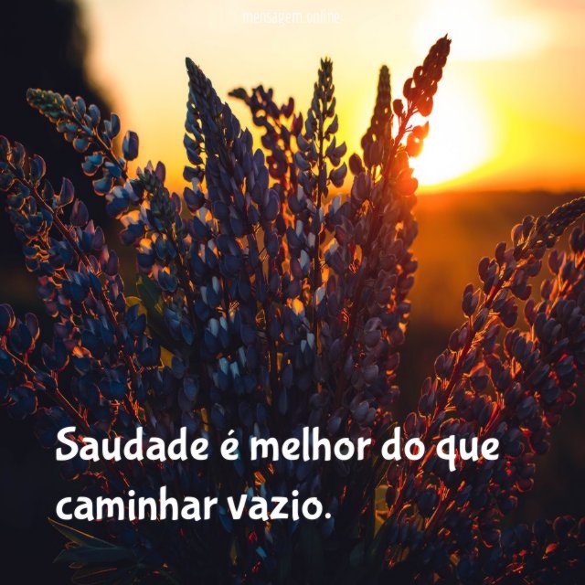 Saudade é melhor do que caminhar vazio