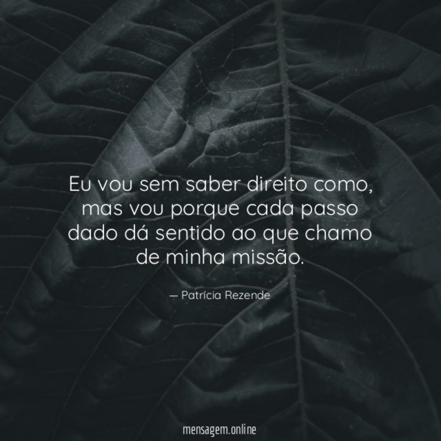 Eu vou sem saber direito como