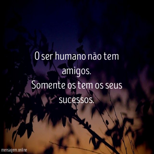 O ser humano não tem amigos