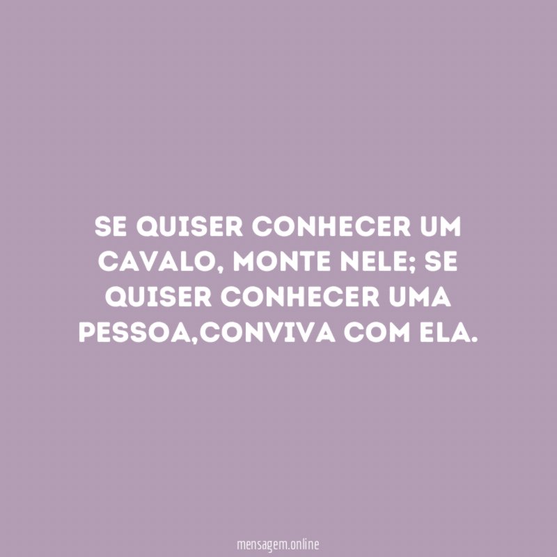 Se quiser conhecer um cavalo