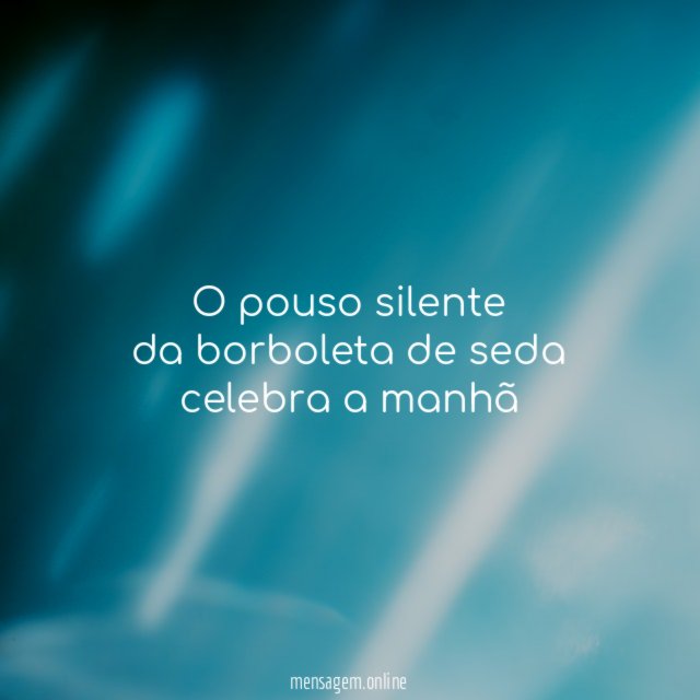 o pouso silente da borboleta de seda celebra a manhã