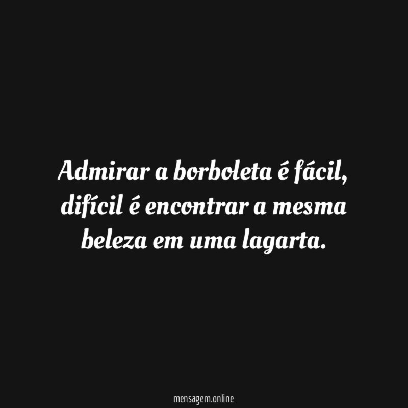 Admirar a borboleta é fácil