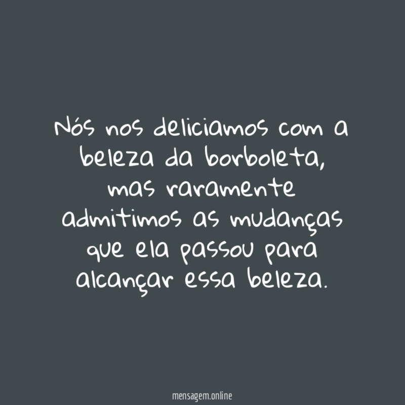 Nós nos deliciamos com a beleza da borboleta