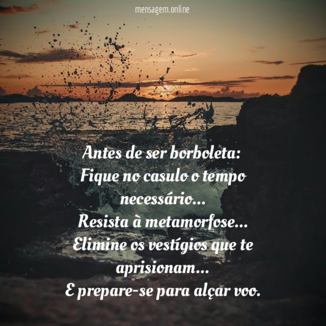 Antes de ser borboleta