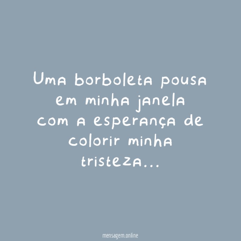 Uma borboleta pousa em minha janela com a esperança