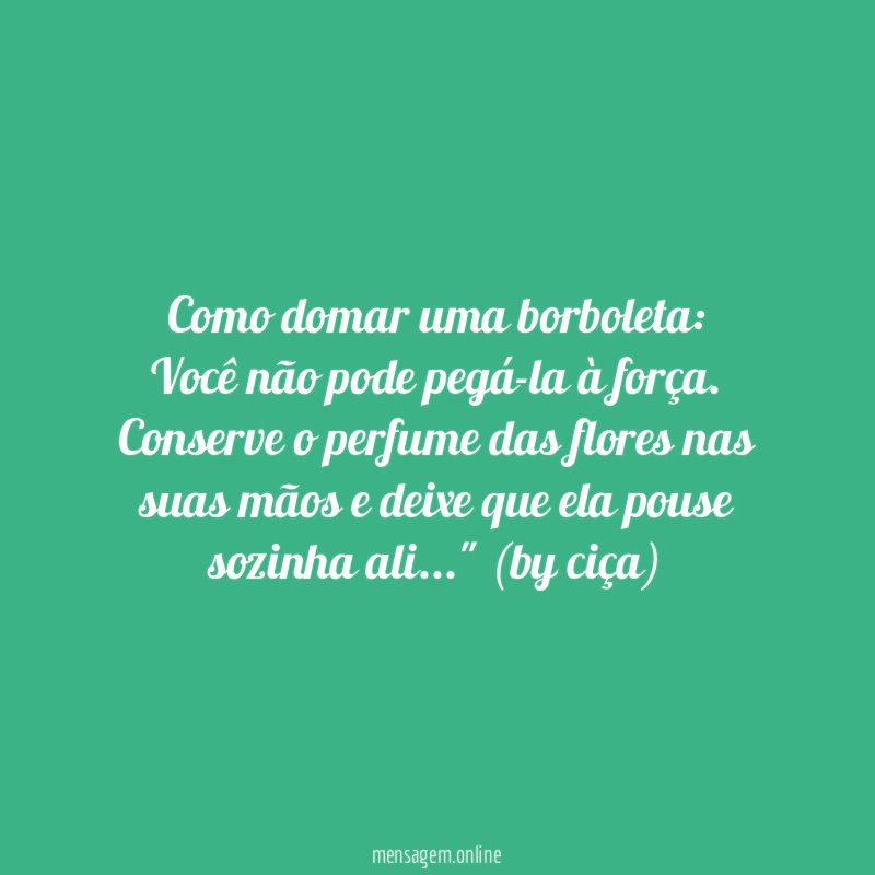 Como domar uma borboleta