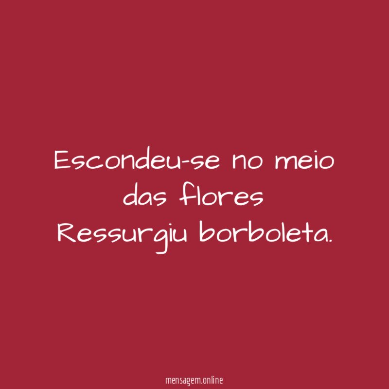 Escondeu-se no meio das flores Ressurgiu borboleta