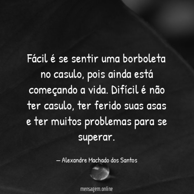 Fácil é se sentir uma borboleta no casulo