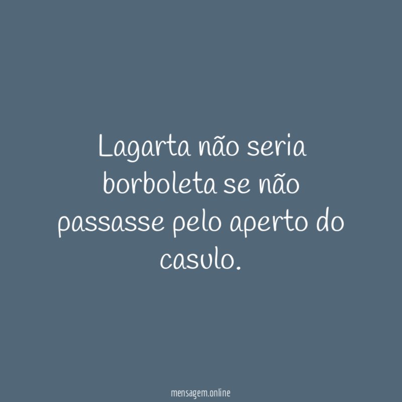 Lagarta não seria borboleta se não passasse pelo