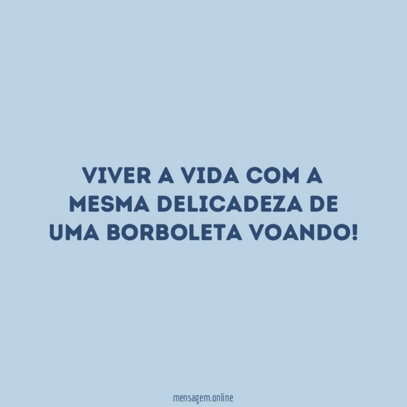 Viver a vida com a mesma delicadeza de uma borboleta voando