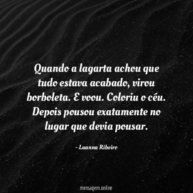 Quando a lagarta achou que tudo estava acabado