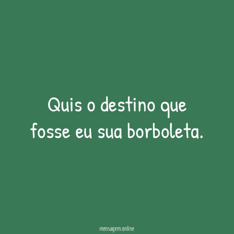 Quis o destino que fosse eu sua borboleta