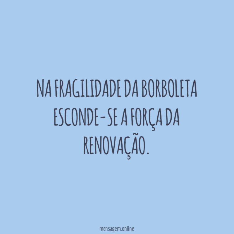 Na fragilidade da borboleta esconde-se a força da renovação