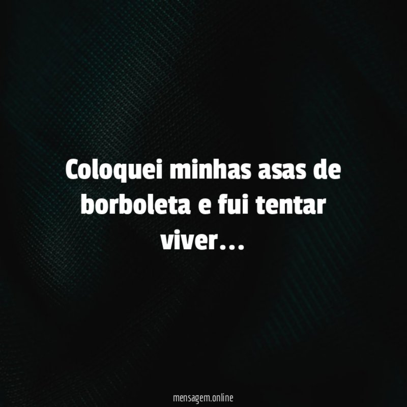 Coloquei minhas asas de borboleta e fui tentar viver