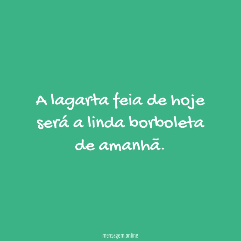 A lagarta feia de hoje será a linda borboleta de amanhã