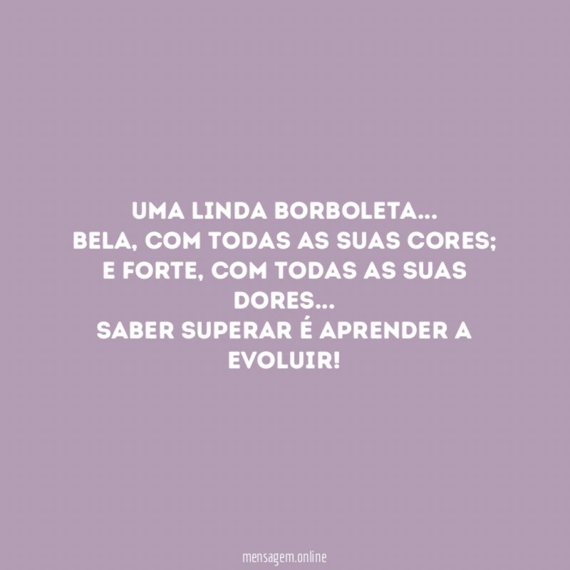 Uma Linda Borboleta