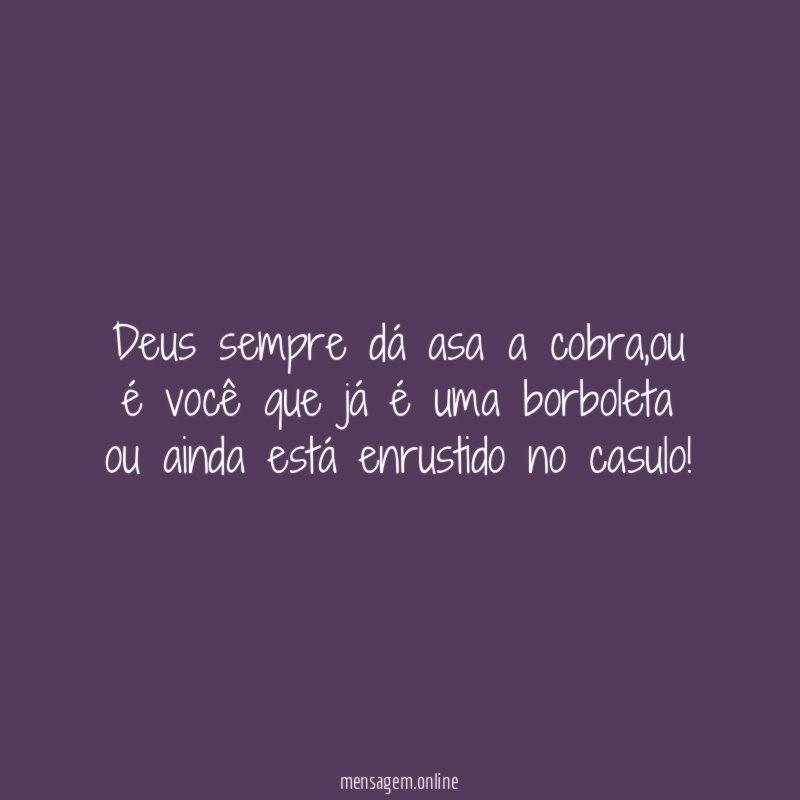 Deus sempre dá asa a cobra