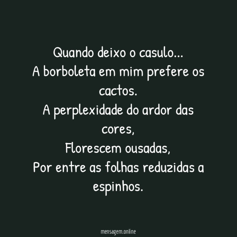 Quando deixo o casulo