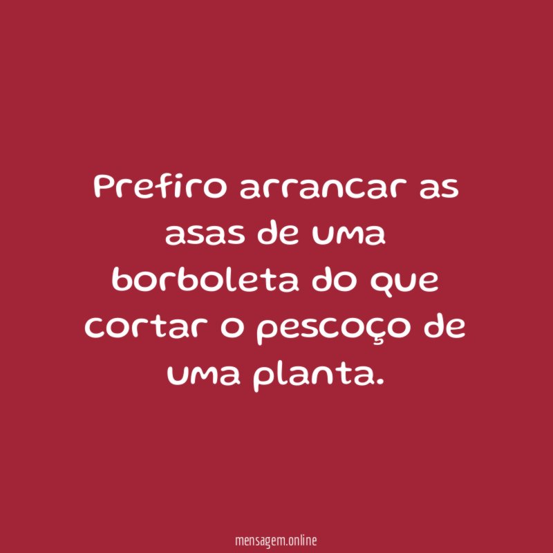 Prefiro arrancar as asas de uma borboleta do
