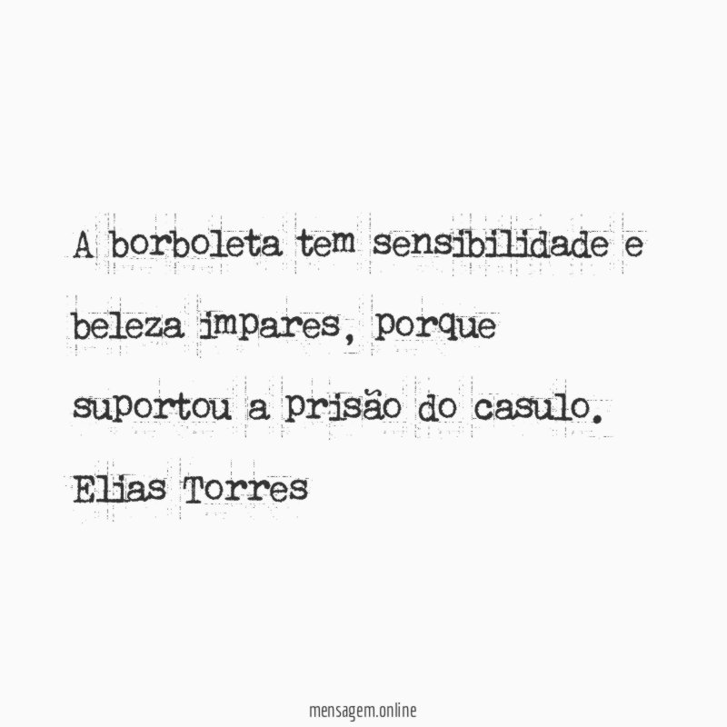 A borboleta tem sensibilidade e beleza impares