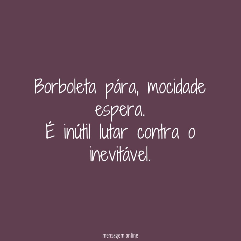 Borboleta pára