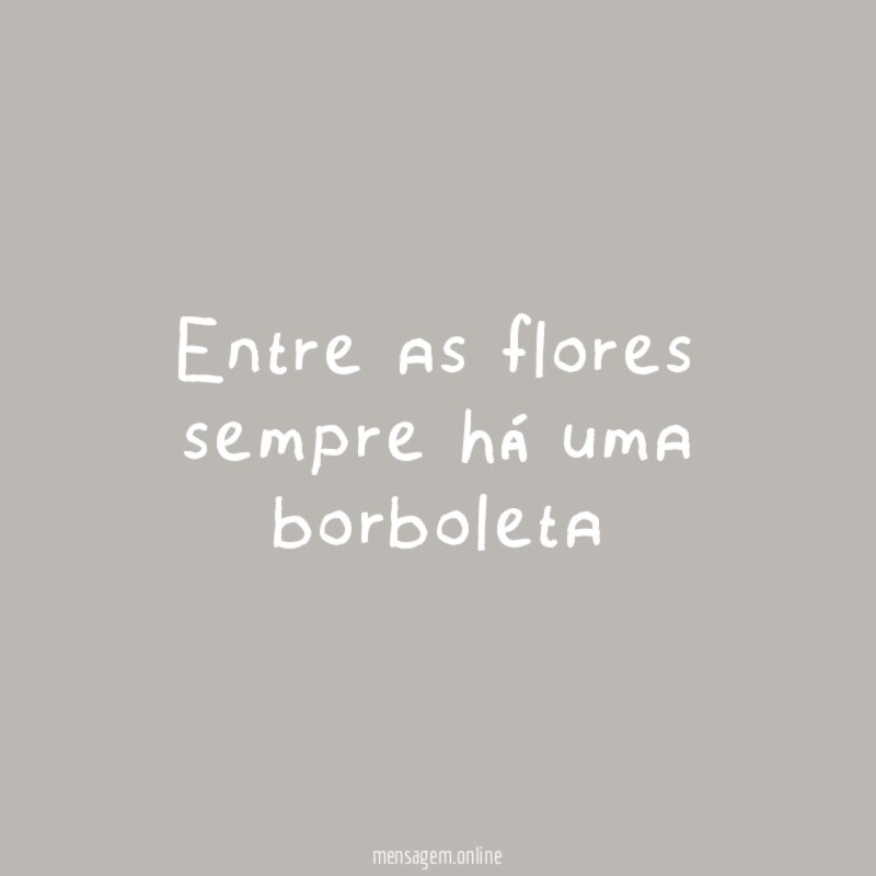 Entre as flores sempre há uma borboleta