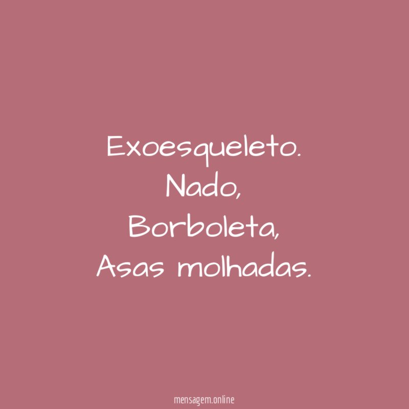 Exoesqueleto.