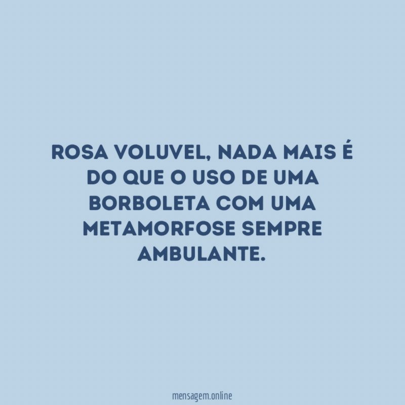 Rosa voluvel