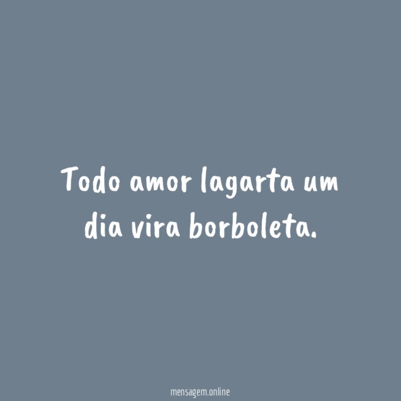 Todo amor lagarta um dia vira borboleta