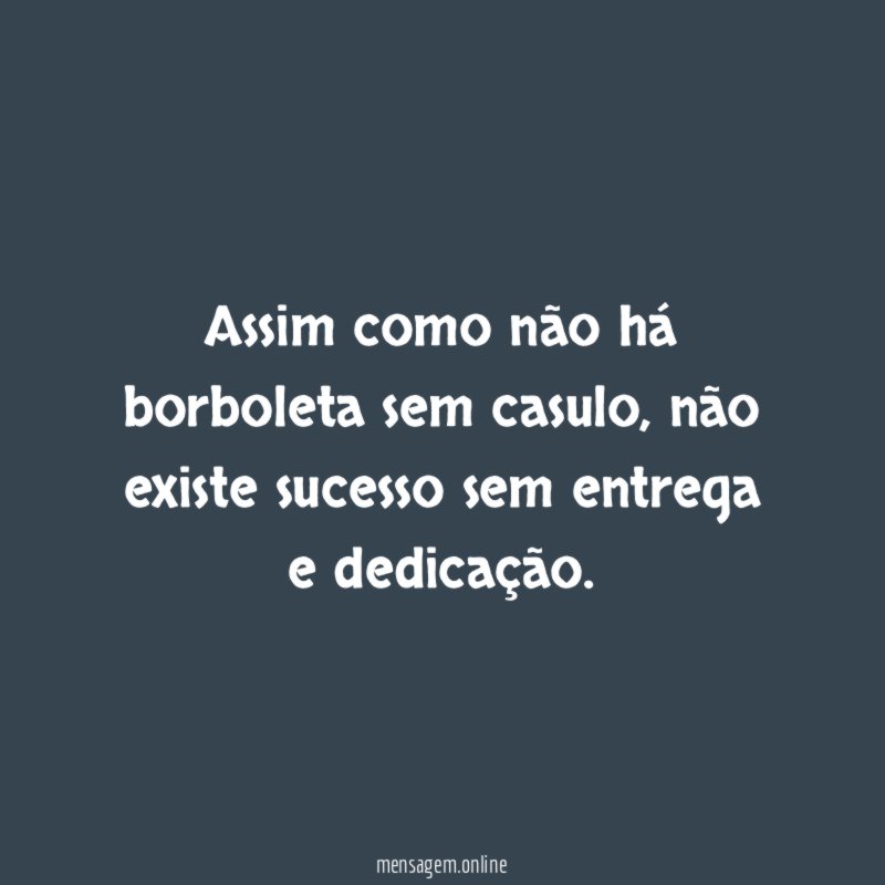 Assim como não há borboleta sem casulo