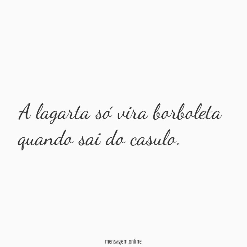 A lagarta só vira borboleta quando sai do casulo