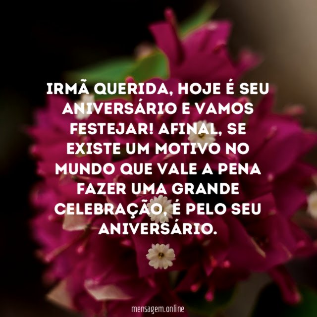 Dia de festa
