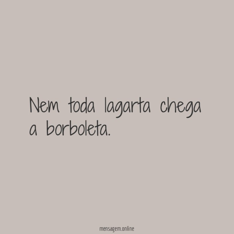 Nem toda lagarta chega a borboleta