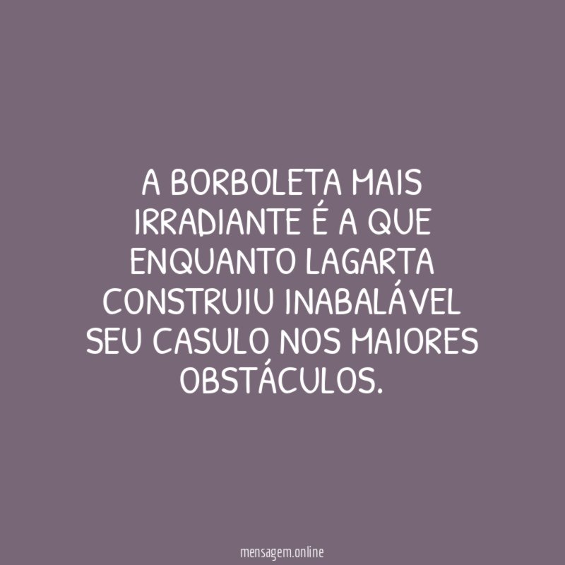 A BORBOLETA MAIS IRRADIANTE É A QUE ENQUANTO