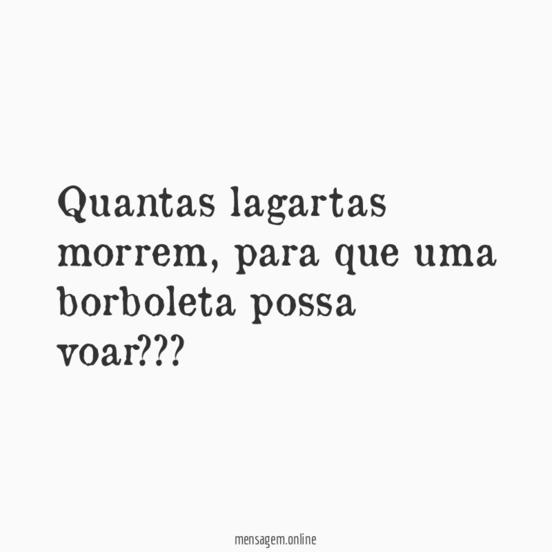 Quantas lagartas morrem