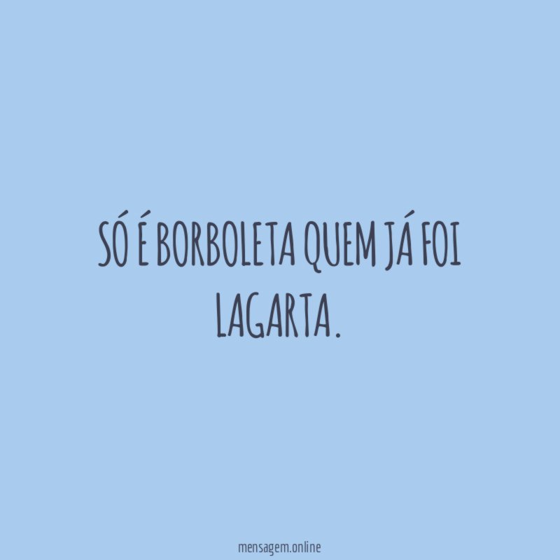 Só é borboleta quem já foi lagarta
