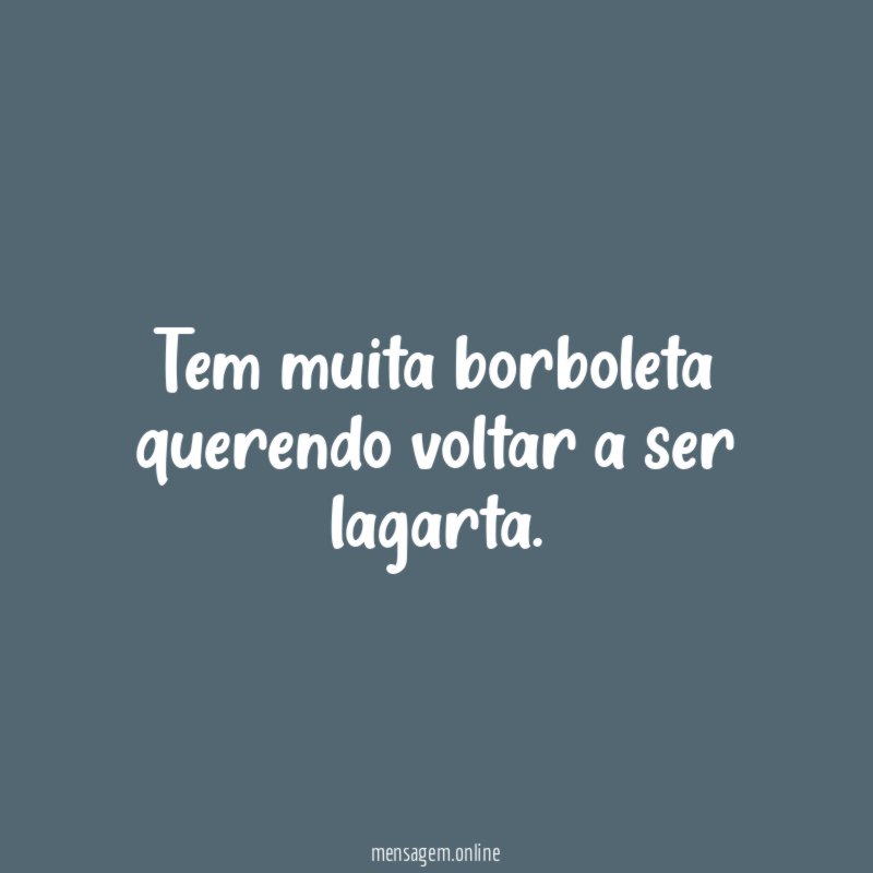 Tem muita borboleta querendo voltar a ser lagarta