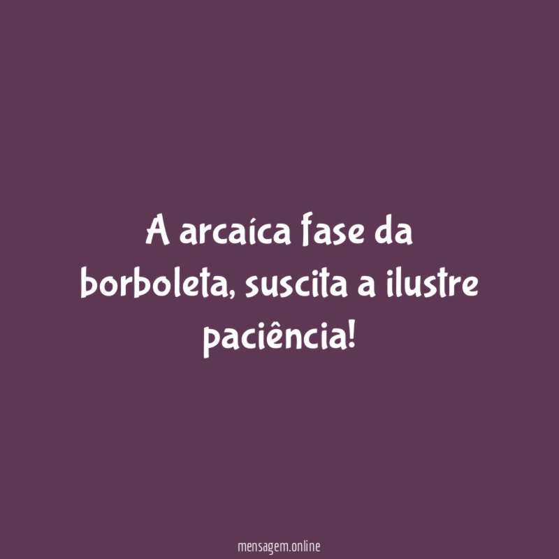 A arcaíca fase da borboleta