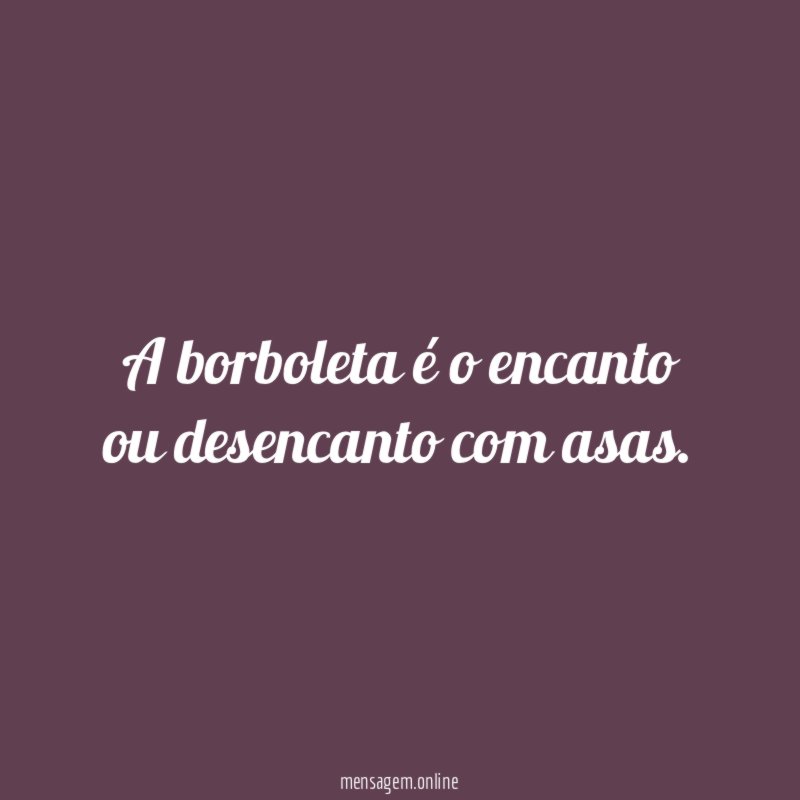 A borboleta é o encanto ou desencanto com asas