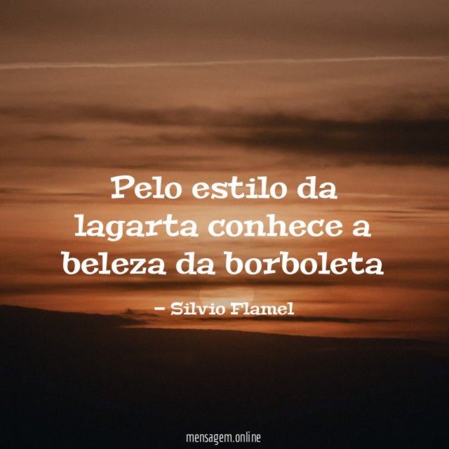 Pelo estilo da lagarta conhece a beleza da borboleta