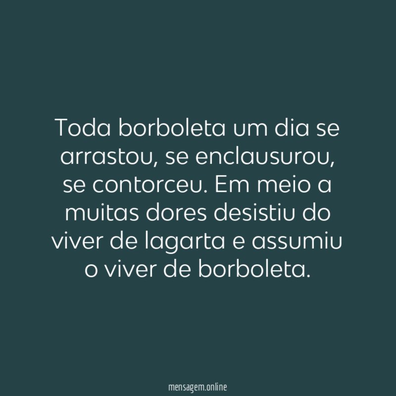Toda borboleta um dia se arrastou